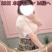 ヒメ日記 2026/02/28 14:53 投稿 せり 池袋ぱんぷきん（シンデレラグループ）