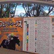 ヒメ日記 2025/02/24 12:24 投稿 桜坂 熟女の風俗最終章 横浜本店