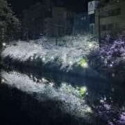 ヒメ日記 2025/04/06 01:14 投稿 桜坂 熟女の風俗最終章 横浜本店