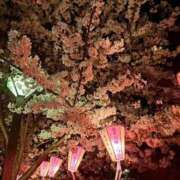 ヒメ日記 2025/04/09 14:44 投稿 桜坂 熟女の風俗最終章 横浜本店