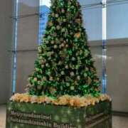 ヒメ日記 2025/11/23 09:04 投稿 桜坂 熟女の風俗最終章 横浜本店