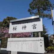 ヒメ日記 2026/03/06 13:54 投稿 桜坂 熟女の風俗最終章 横浜本店