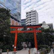 ヒメ日記 2026/10/21 17:01 投稿 桜坂 熟女の風俗最終章 横浜本店