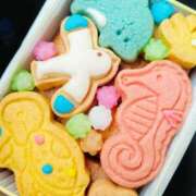 ヒメ日記 2025/04/11 00:52 投稿 ショウダ 千葉★出張マッサージ委員会Z