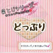 ヒメ日記 2024/11/20 12:06 投稿 かな 京都祇園・南インターちゃんこ