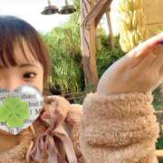 ヒメ日記 2024/12/17 09:56 投稿 かな 京都祇園・南インターちゃんこ