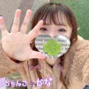 ヒメ日記 2024/12/31 08:36 投稿 かな 京都祇園・南インターちゃんこ