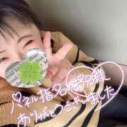 ヒメ日記 2025/02/05 12:17 投稿 かな 京都祇園・南インターちゃんこ