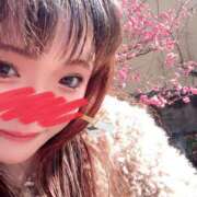 ヒメ日記 2025/02/24 20:31 投稿 かな 京都祇園・南インターちゃんこ