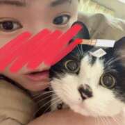 ヒメ日記 2025/03/04 21:12 投稿 かな 京都祇園・南インターちゃんこ