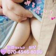 ヒメ日記 2025/03/12 11:54 投稿 かな 京都祇園・南インターちゃんこ