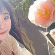 ヒメ日記 2025/03/23 07:44 投稿 かな 京都祇園・南インターちゃんこ