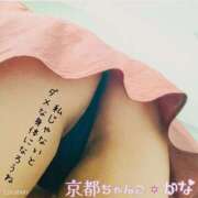 ヒメ日記 2025/03/29 12:04 投稿 かな 京都祇園・南インターちゃんこ