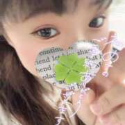 ヒメ日記 2025/03/30 10:04 投稿 かな 京都祇園・南インターちゃんこ