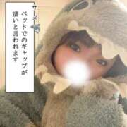 ヒメ日記 2025/03/31 18:20 投稿 かな 京都祇園・南インターちゃんこ