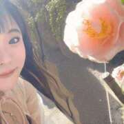 ヒメ日記 2025/04/01 06:37 投稿 かな 京都祇園・南インターちゃんこ