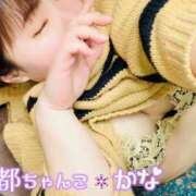 ヒメ日記 2025/04/01 08:02 投稿 かな 京都祇園・南インターちゃんこ