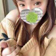 ヒメ日記 2025/04/01 12:05 投稿 かな 京都祇園・南インターちゃんこ