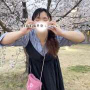 ヒメ日記 2025/04/06 12:28 投稿 かな 京都祇園・南インターちゃんこ