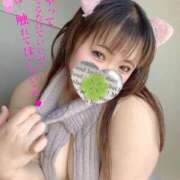 ヒメ日記 2025/04/06 22:53 投稿 かな 京都祇園・南インターちゃんこ