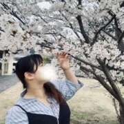 ヒメ日記 2025/04/10 08:06 投稿 かな 京都祇園・南インターちゃんこ