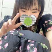 ヒメ日記 2025/04/11 06:27 投稿 かな 京都祇園・南インターちゃんこ