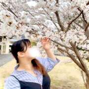 ヒメ日記 2025/04/11 11:38 投稿 かな 京都祇園・南インターちゃんこ