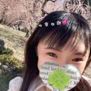 ヒメ日記 2025/04/29 08:45 投稿 かな 京都祇園・南インターちゃんこ