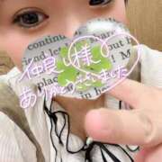 ヒメ日記 2025/05/08 06:57 投稿 かな 京都祇園・南インターちゃんこ