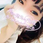 ヒメ日記 2025/06/15 13:59 投稿 かな 京都祇園・南インターちゃんこ