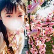 ヒメ日記 2025/06/16 11:34 投稿 かな 京都祇園・南インターちゃんこ