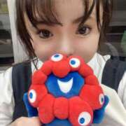 ヒメ日記 2025/09/04 11:02 投稿 かな 京都祇園・南インターちゃんこ