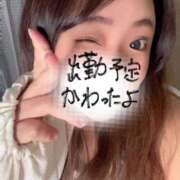 ヒメ日記 2025/11/01 11:14 投稿 かな 京都祇園・南インターちゃんこ