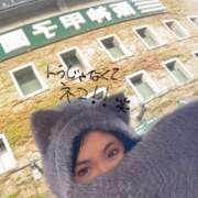 ヒメ日記 2025/11/20 12:59 投稿 かな 京都祇園・南インターちゃんこ