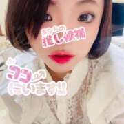 ヒメ日記 2025/12/30 07:28 投稿 かな 京都祇園・南インターちゃんこ