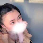 かな 陽だまり🍀ฅ(●´ϖ`●ฅ)꒱ 京都祇園・南インターちゃんこ