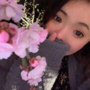 ヒメ日記 2026/02/24 09:20 投稿 かな 京都祇園・南インターちゃんこ