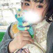 ヒメ日記 2026/04/03 14:27 投稿 かな 京都祇園・南インターちゃんこ