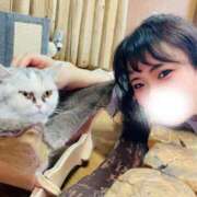 ヒメ日記 2026/04/05 14:08 投稿 かな 京都祇園・南インターちゃんこ