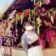 ヒメ日記 2026/04/17 08:47 投稿 かな 京都祇園・南インターちゃんこ