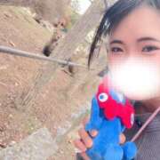 ヒメ日記 2026/04/21 21:19 投稿 かな 京都祇園・南インターちゃんこ