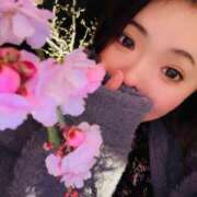 ヒメ日記 2026/04/25 08:59 投稿 かな 京都祇園・南インターちゃんこ