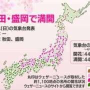 ヒメ日記 2024/04/15 09:15 投稿 まさこ 待ちナビ