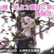 ヒメ日記 2024/04/19 09:25 投稿 まさこ 待ちナビ