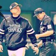 ヒメ日記 2025/03/30 08:55 投稿 まさこ 待ちナビ