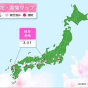 ヒメ日記 2025/04/01 08:20 投稿 まさこ 待ちナビ