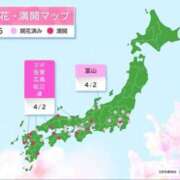 ヒメ日記 2025/04/03 08:15 投稿 まさこ 待ちナビ