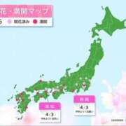 ヒメ日記 2025/04/04 11:51 投稿 まさこ 待ちナビ