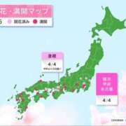ヒメ日記 2025/04/05 10:45 投稿 まさこ 待ちナビ