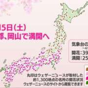 ヒメ日記 2025/04/06 11:57 投稿 まさこ 待ちナビ